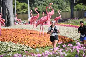 BIB: 
                            <button type="button" onclick="openModal(27793187)" class="btn btn-primary btn-sm float-right btn-popup" data-toggle="modal" data-target=".modal-high-quality">
                        <i class="fas fa-shopping-cart"></i> Add to Cart
                    </button>
                                            <button type="button" onclick="isThisMe(27793187, true)" class="btn btn-success btn-sm float-right btn-popup btn-isme hidden" data-toggle="tooltip" data-placement="bottom" title="นี่คือรูปของคุณใช่ไหม คลิกที่นี่เพื่อเอาเข้าอัลบั้ม">
                        <i class="fas fa-plus"></i> Add to album
                    </button>
                    <button type="button" onclick="isThisMe(27793187, false)" class="btn btn-warning btn-sm float-right btn-popup btn-isnotme hidden">
                        <i class="fas fa-ban"></i> Remove from album
                    </button>